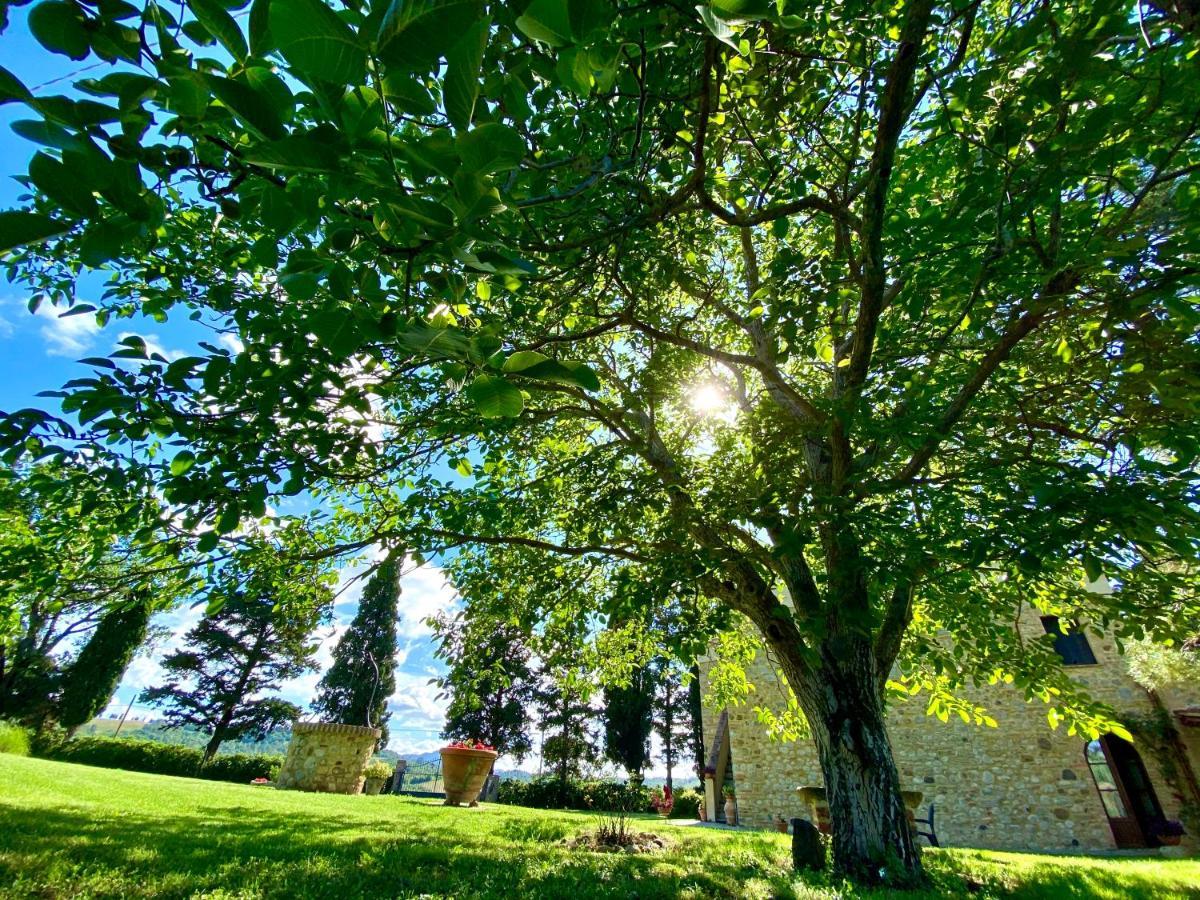 Agriturismo L'Antica Quercia Помаранче Экстерьер фото